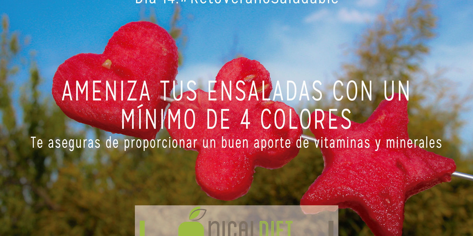 dietas-online-7