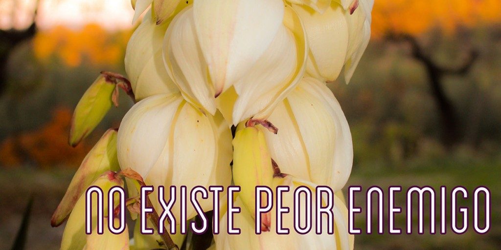 Dieta-Online-CREENCIAS