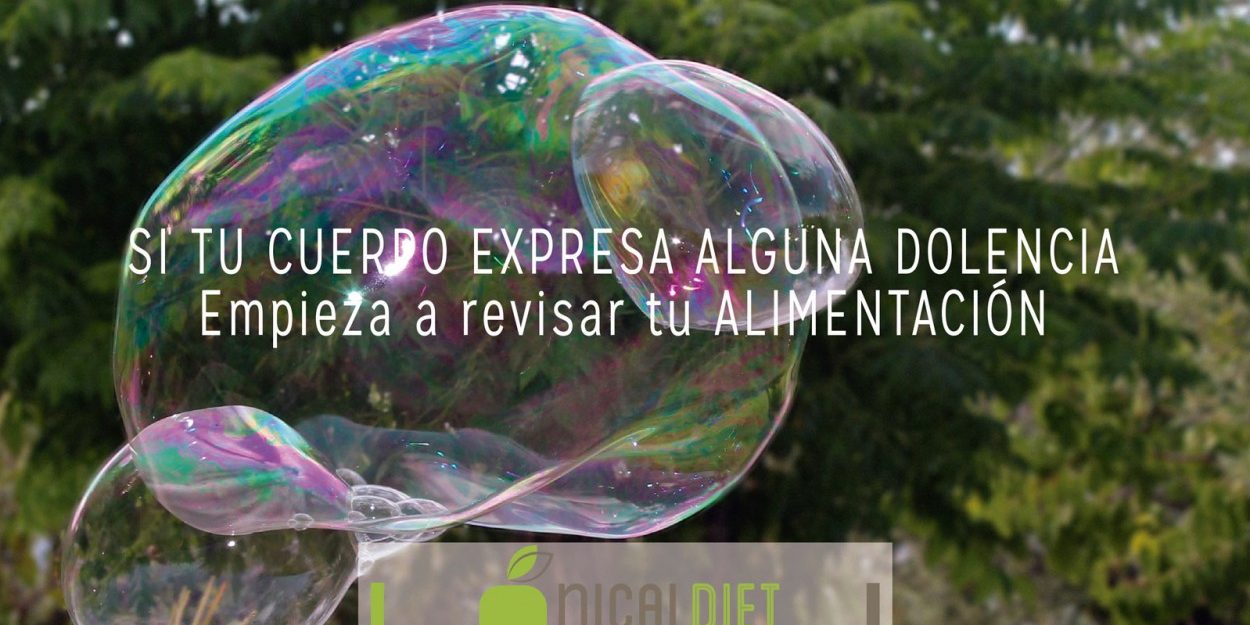 DIETAS-ONLINE-2-1250×782