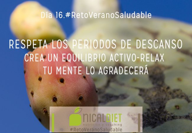 dietas-online-1