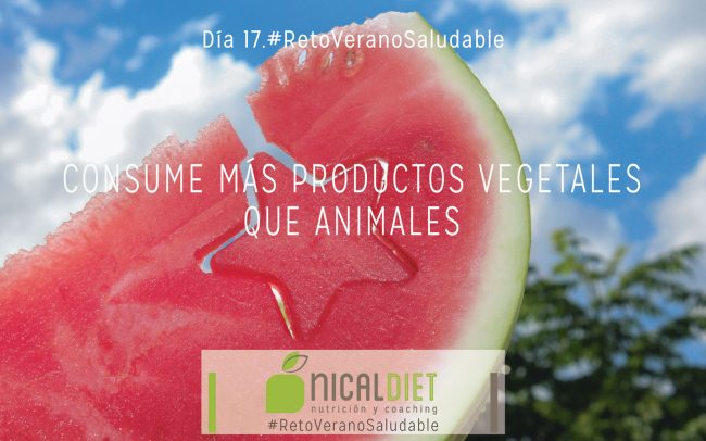 dietas-online-10
