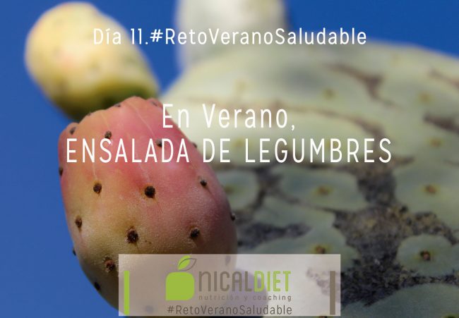 dietas-online-3