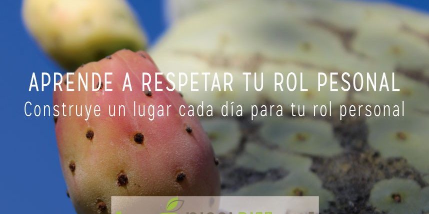 DIETAS-ONLINE-2-858×594