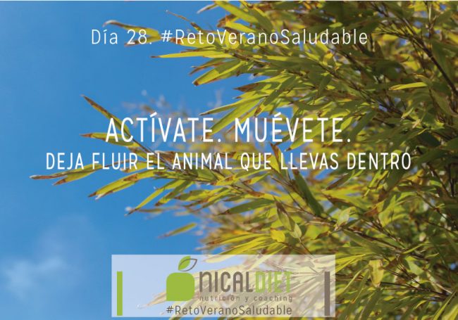 dietas-online-6-1