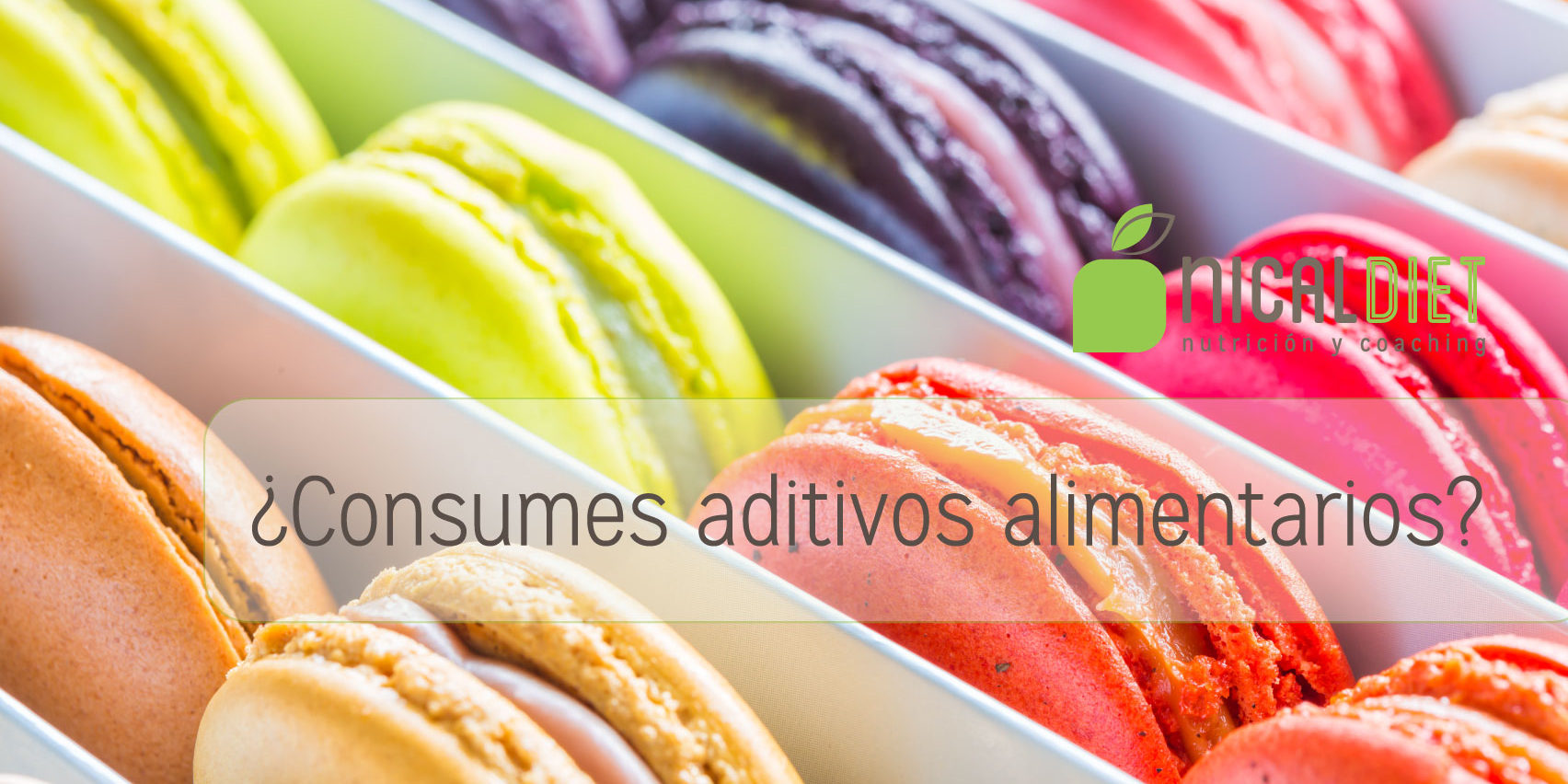 aditivos-1